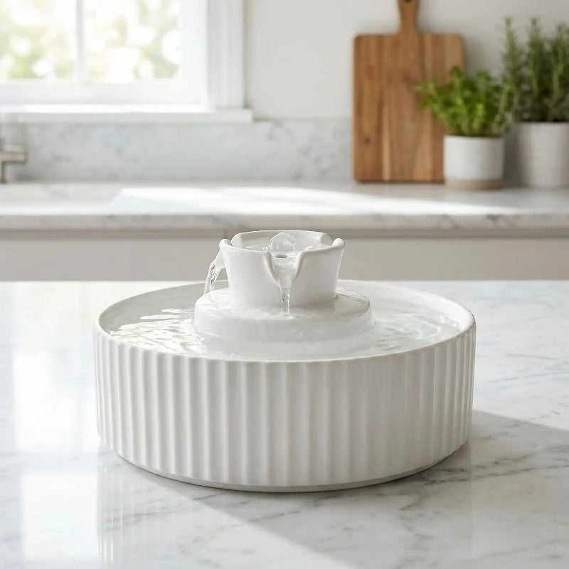 Fontaine à eau pour chat céramique blanche cuisine moderne