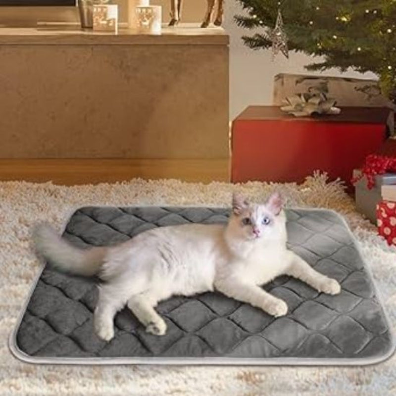 Coussin chat avec chat blanc allongé confortablement