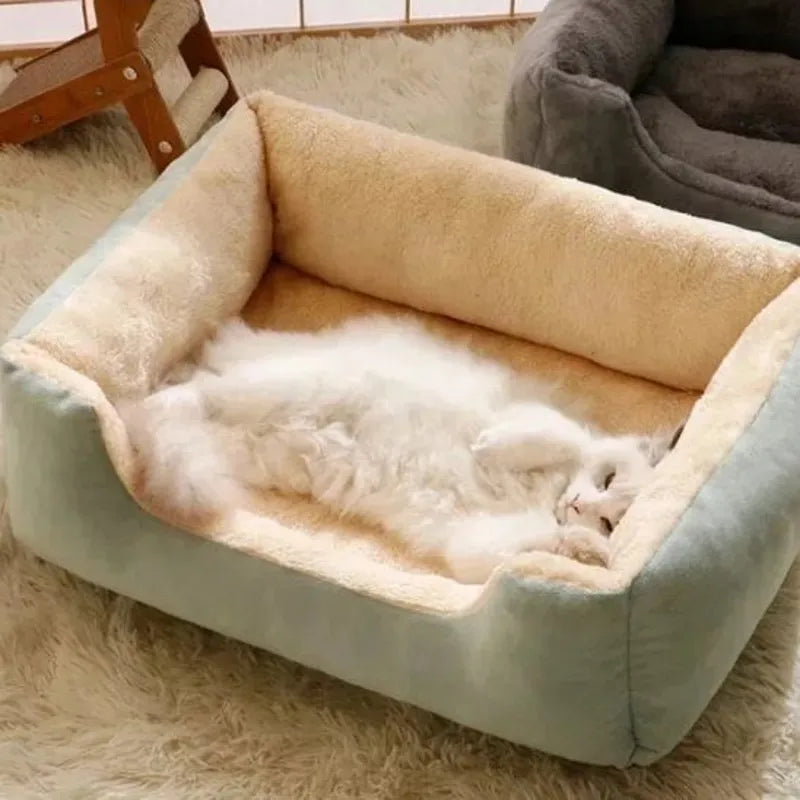 Lit pour chat vert avec un chat blanc allongĂ© Ă lâintĂ©rieur