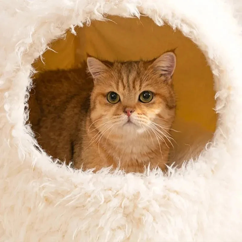 Maison pour les chats en peluche douce avec chat roux