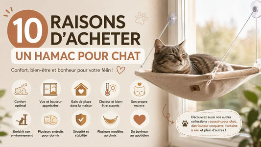 Chat confortablement installé dans un hamac pour chat