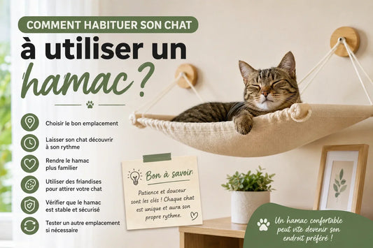 Chat installé dans un hamac pour chat mural confortable.