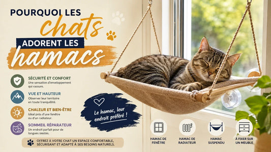 Chat confortablement installé dans un hamac pour chat