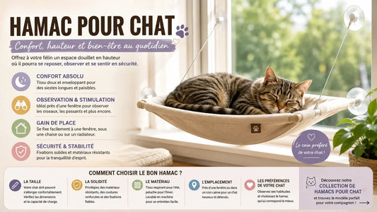 Hamac pour chat suspendu avec chat dormant près d'une fenêtre