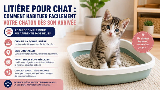 Litière pour chat avec chaton apprenant à utiliser son bac