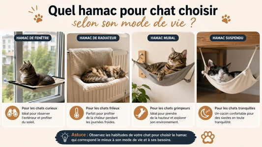 Différents hamacs pour chat selon son mode de vie