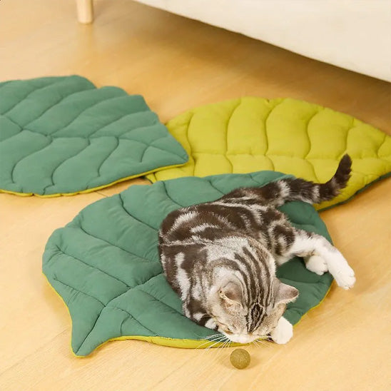 Coussin chat feuille verte avec un chat qui s’amuse