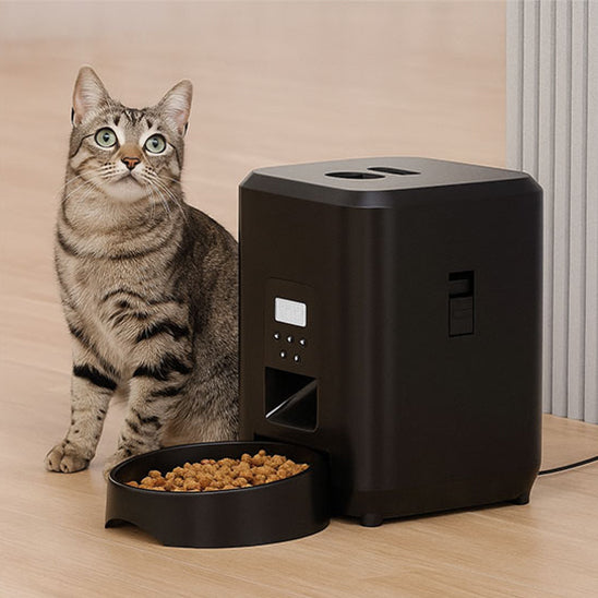 Distributeur automatique de croquettes chat pour alimentation quotidienne