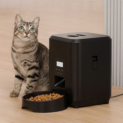 Distributeur automatique de croquettes chat pour alimentation quotidienne