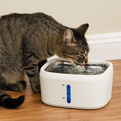 Chat tigré boit à fontaine à eau pour chat