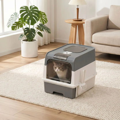 Bac à litière gris avec chat visible intérieur salon lumineux