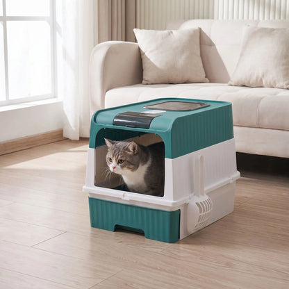 Bac à litière vert avec chat assis à intérieur maison