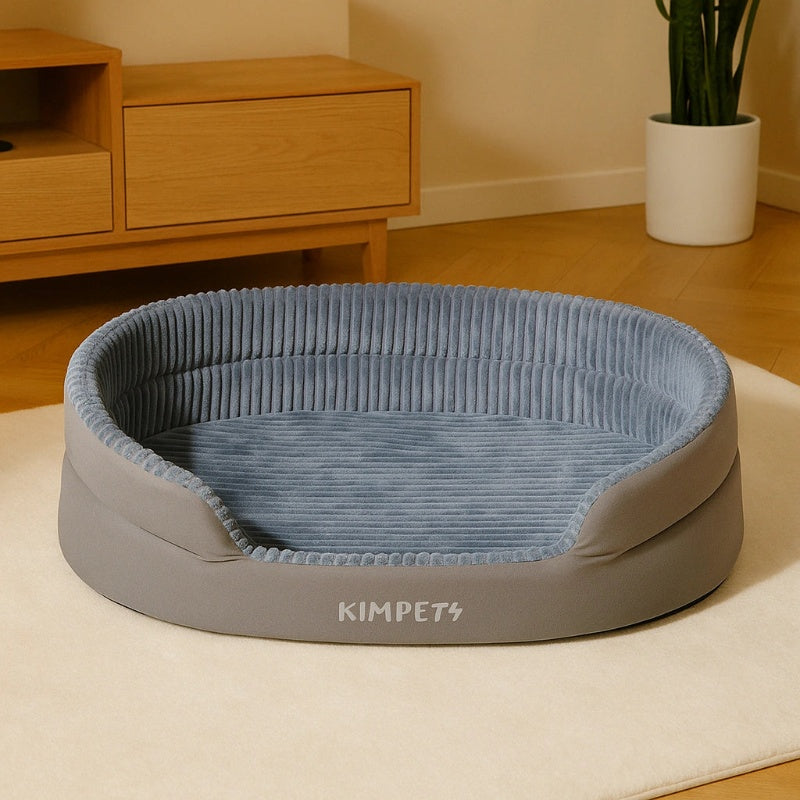 Chat panier gris intérieur maison moderne confortable