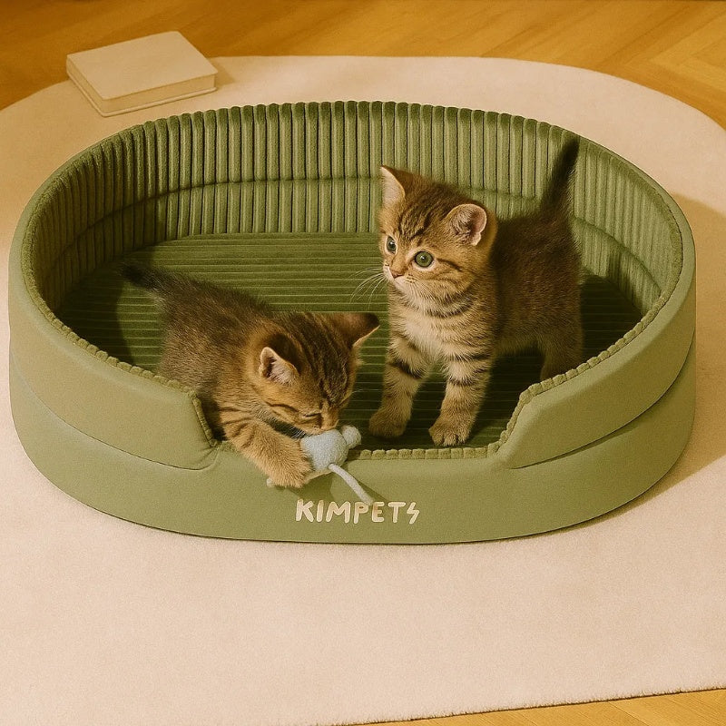 Chat panier vert avec deux chatons qui jouent