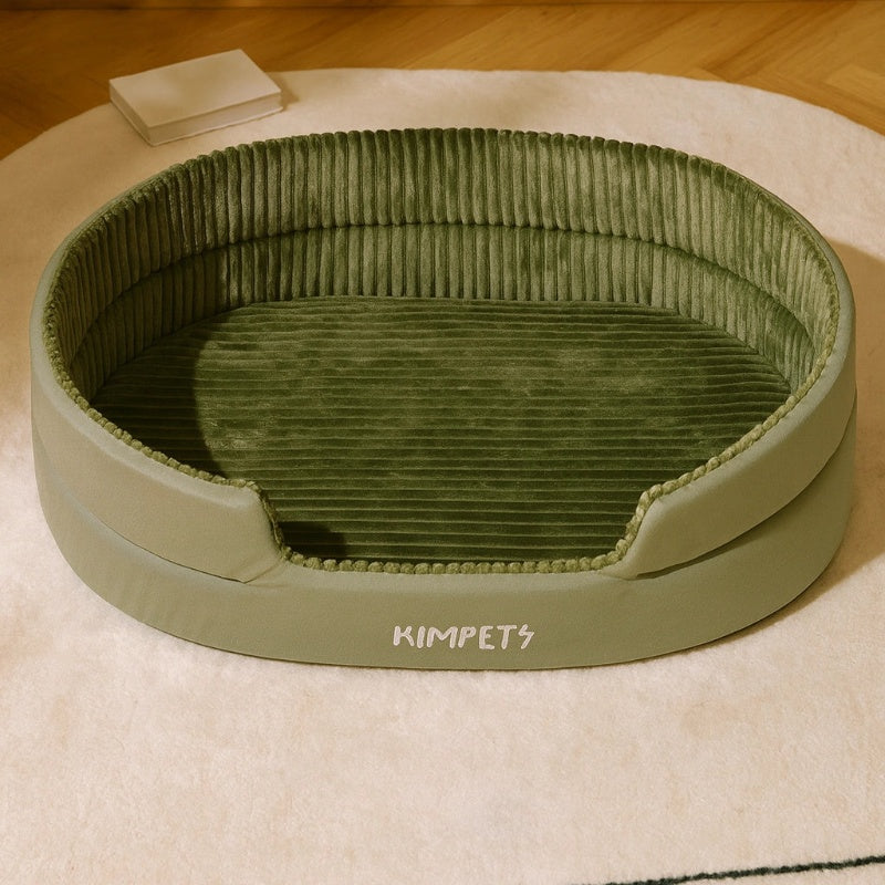 Chat panier vert confortable intérieur maison moderne