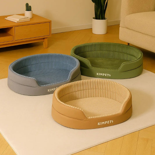 Chat panier beige gris vert dans un salon moderne