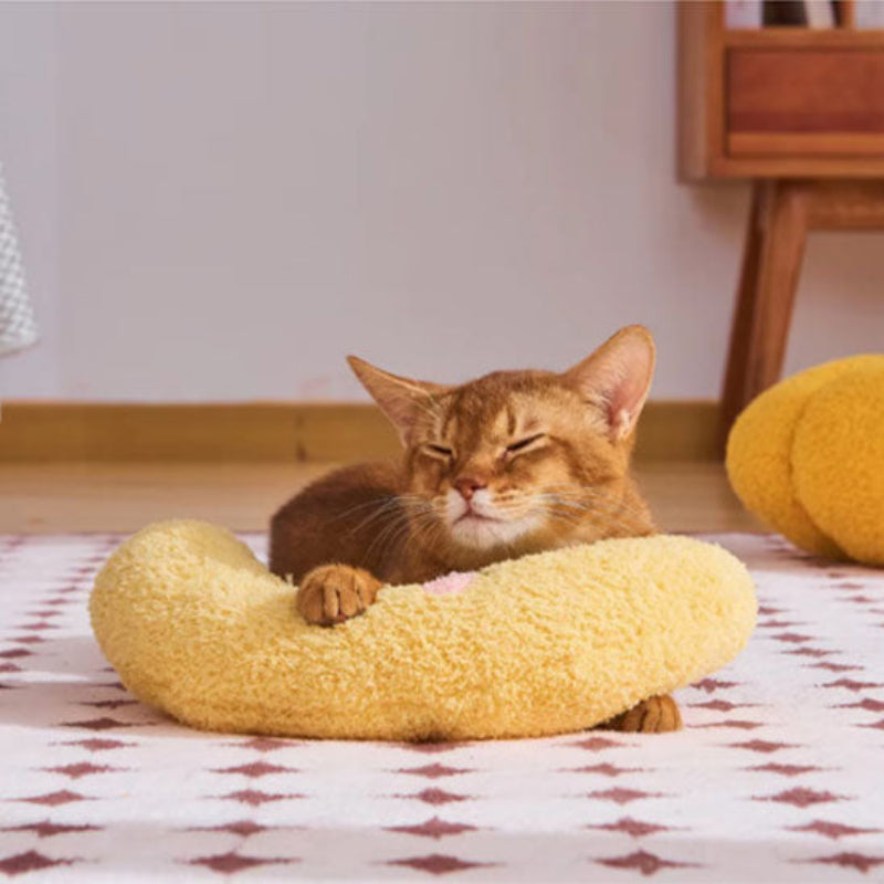 coussin à chat jaune avec chat roux allongé et endormi