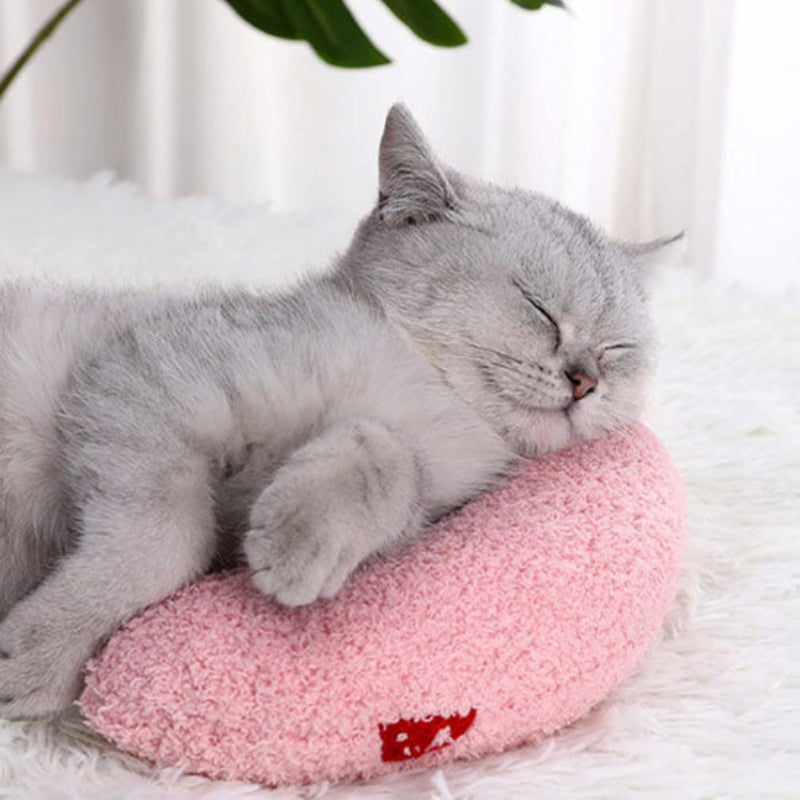 coussin à chat rose avec chaton gris rayé allongé dessus