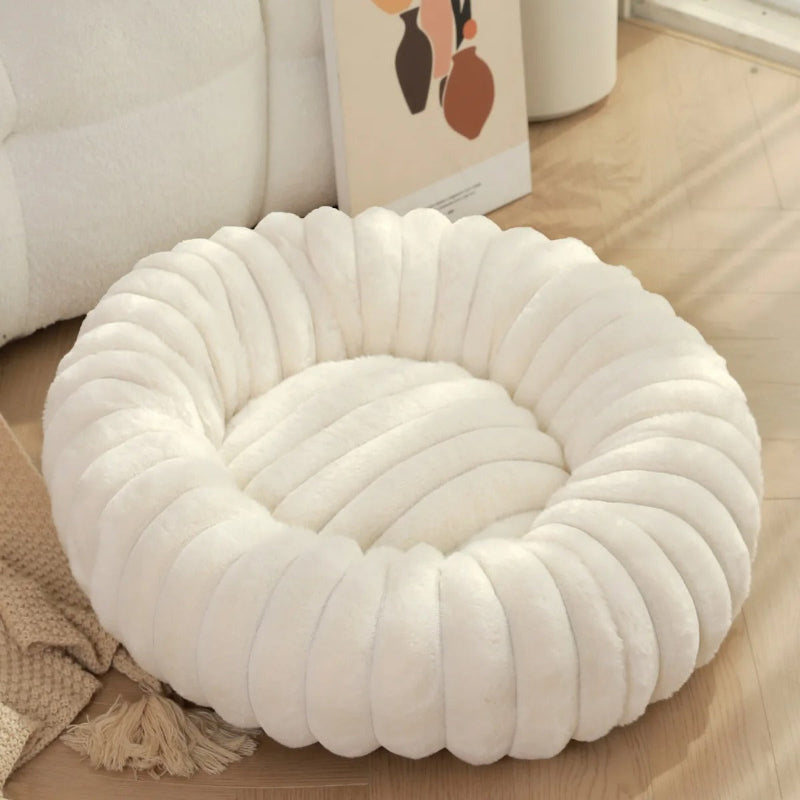 coussin pour chat blanc dans un salon