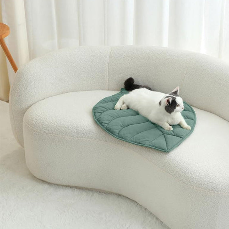 Coussin chat vert avec chat blanc allongé confortablement