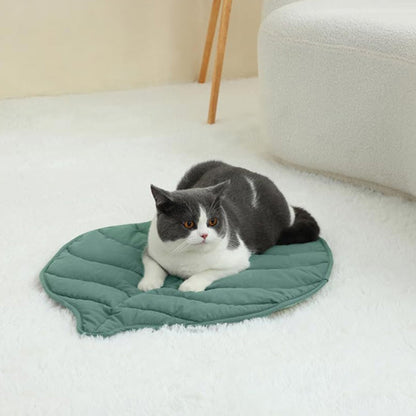 Coussin chat feuille verte avec chat gris et blanc allongé