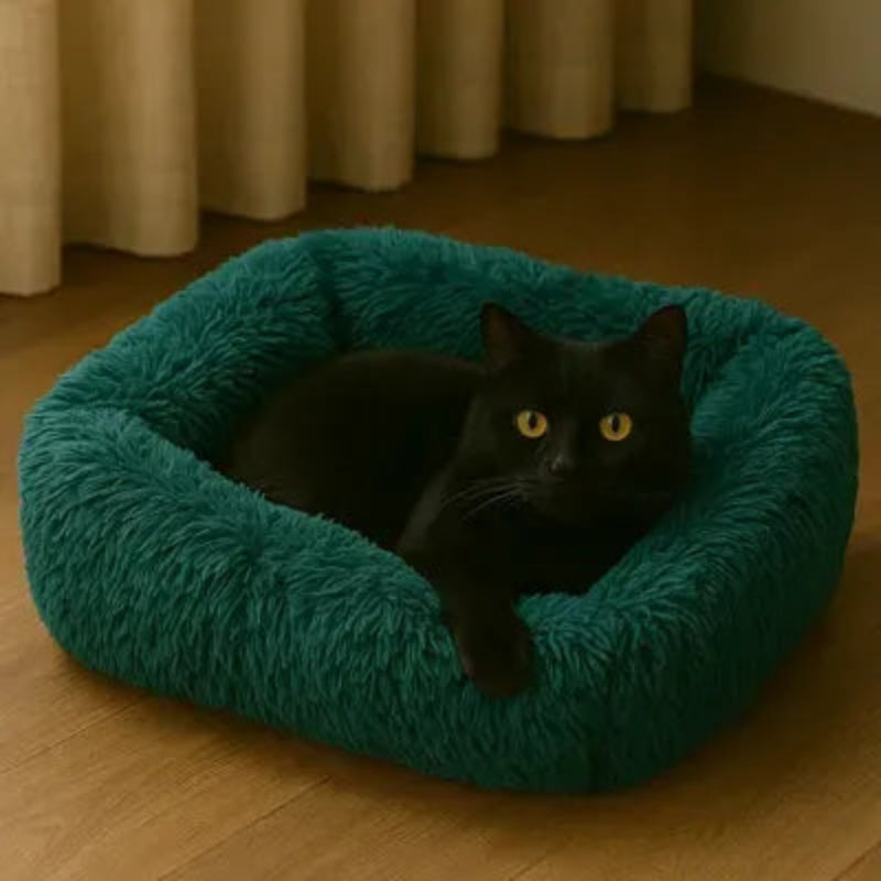 Coussin pour chat cyan relax doux parfait sommeil et confort