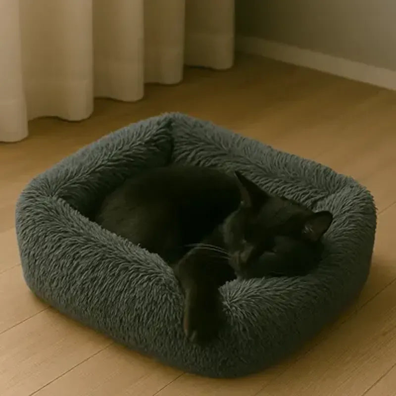 Coussin pour chat gris foncé moelleux avec chat endormi