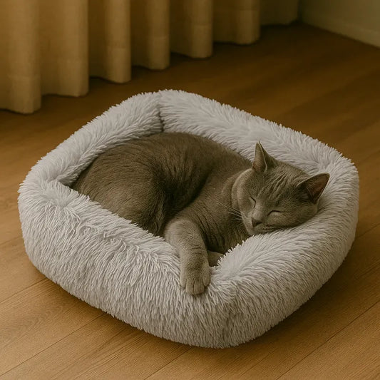 Coussin pour chat gris pâle confortable avec chat allongé