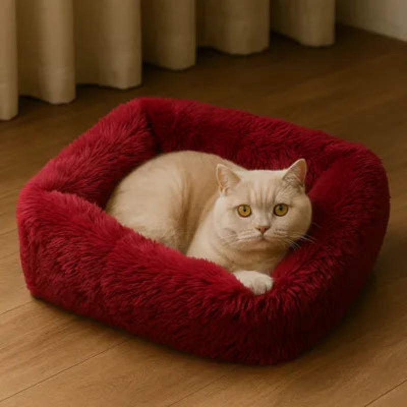 coussin-pour-chat-rouge-douillet
