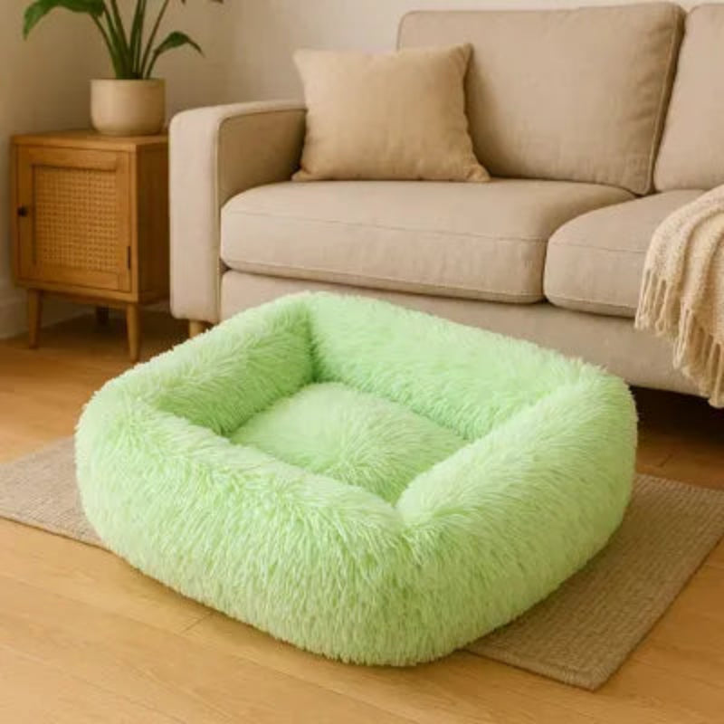Coussin pour chat vert douillet moelleux parfait pour sommeil confortable