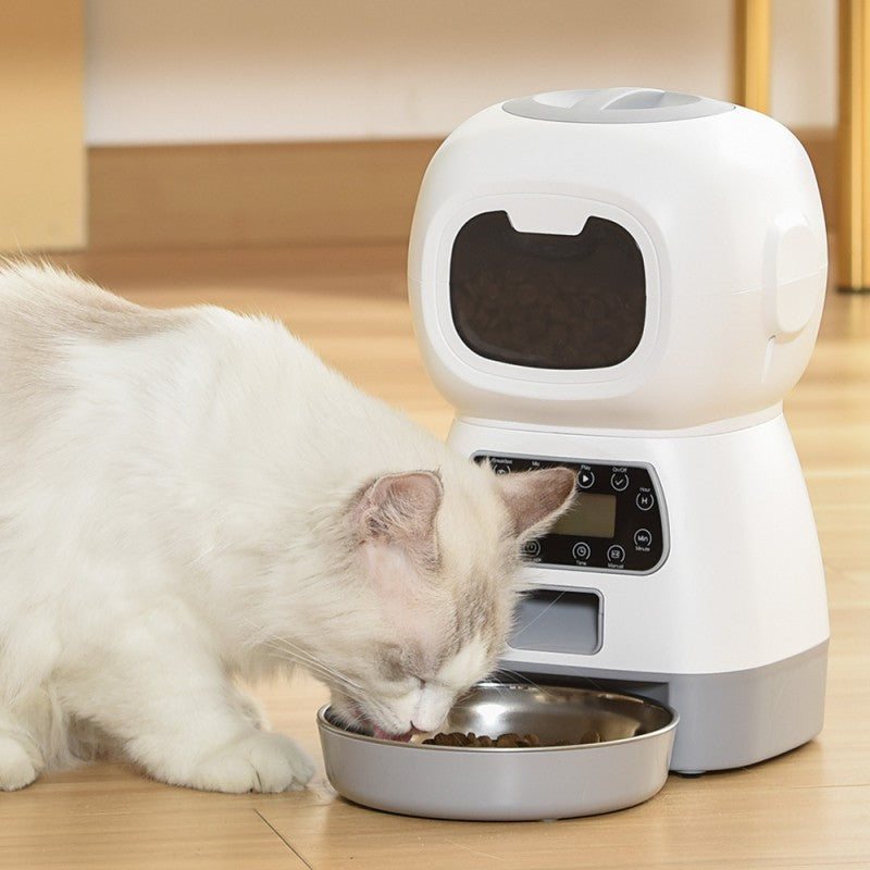 Chat mangeant dans un distributeur automatique de croquettes