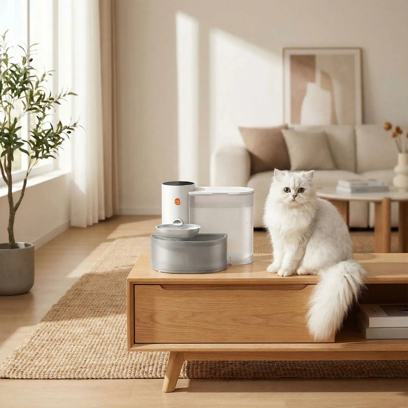 fontaine à eau pour chat avec chat persan blanc