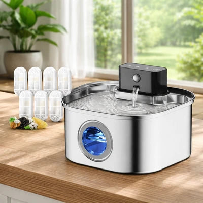 Fontaine à eau chat avec filtres de rechange