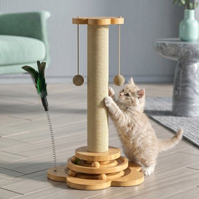 Griffoir Chat avec chat gris utilisant le poteau en sisal