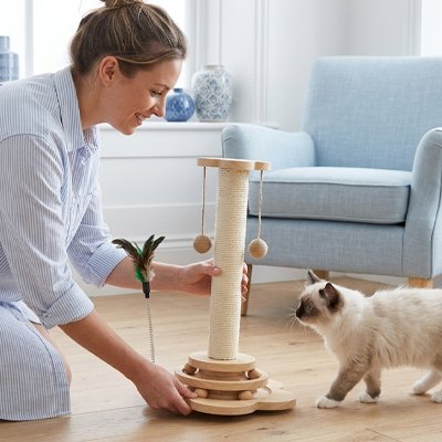 Griffoir Chat avec femme jouant avec son chat intérieur
