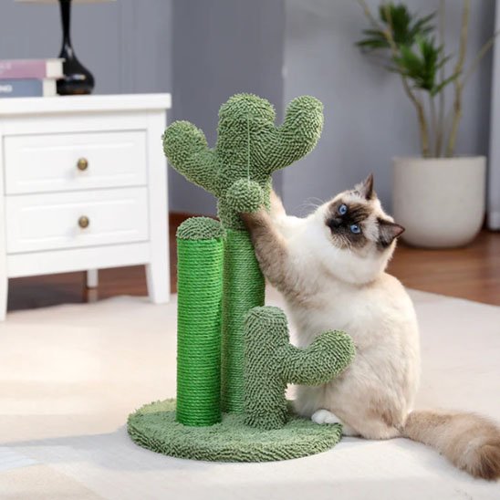 Griffoir chat design de cactus vert