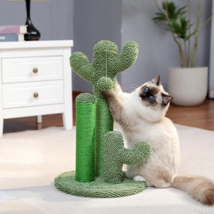 Griffoir chat design de cactus vert