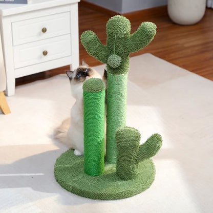 Griffoir chat cactus vert trois niveaux