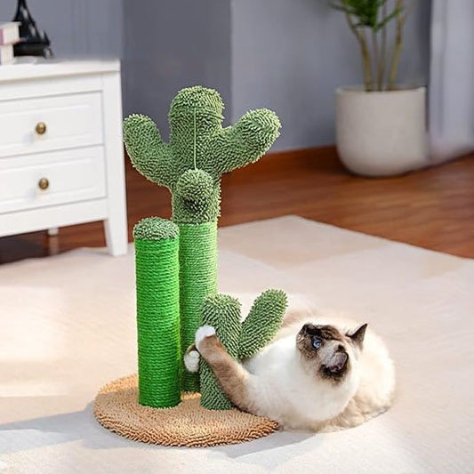 Griffoir chat au design cactus vert
