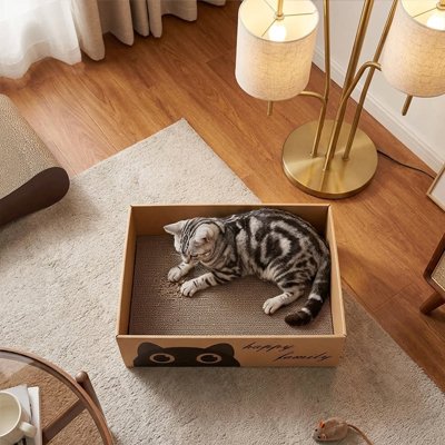 griffoir Chat carton avec chat gris à l’intérieur