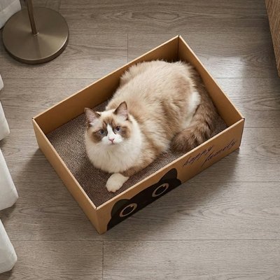 griffoir Chat carton avec chat roux allongé