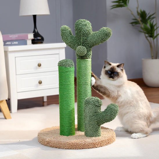Griffoir chat cactus vert et base beige