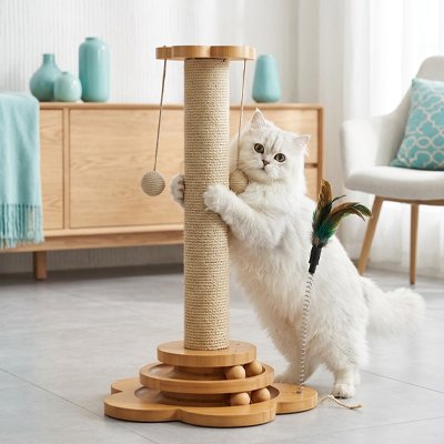 Griffoir Chat  avec chat blanc