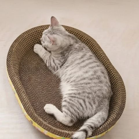 Griffoir en carton pour chat rayé couché rond