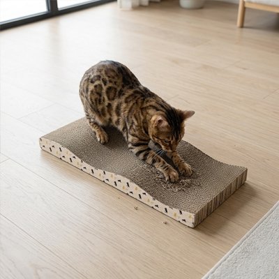 griffoir en carton pour Chat tigré avec base inclinée
