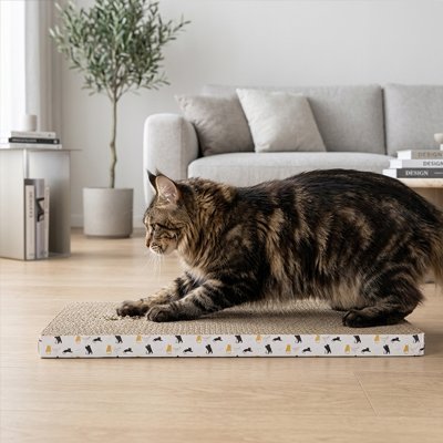 griffoir en carton pour Chat tigré couché près du canapé