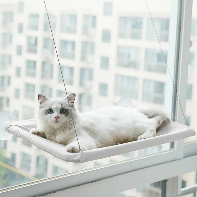 hamac chat gris fixé à la fenêtre avec chat allongé