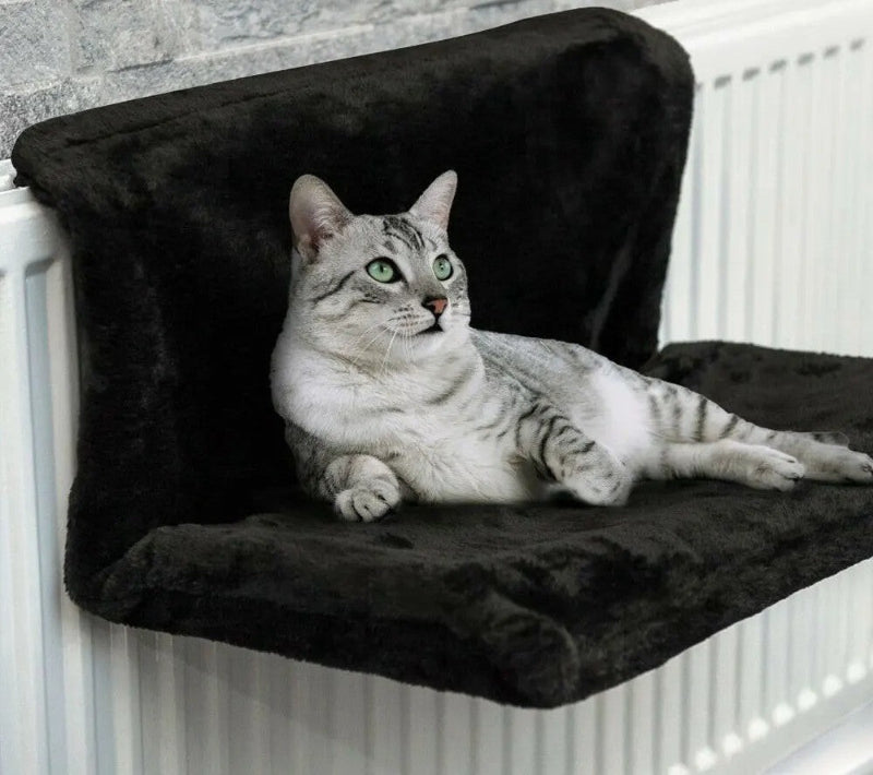 hamac chat radiateur avec chat gris allongé