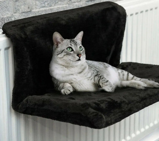 hamac chat radiateur avec chat gris allongé