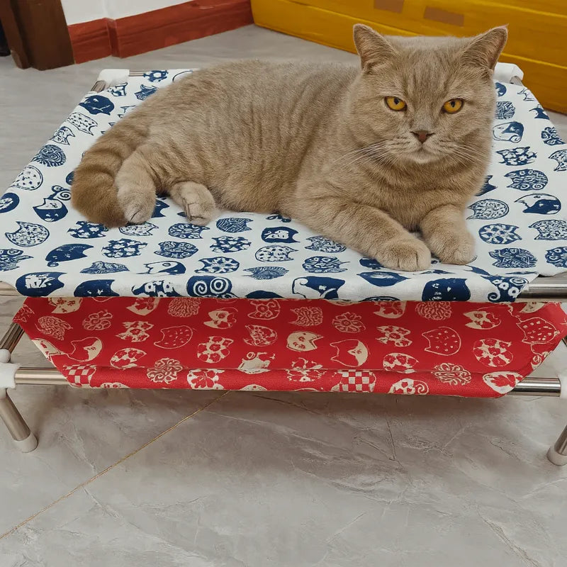 hamac chat rouge et blanc avec chat roux allongé